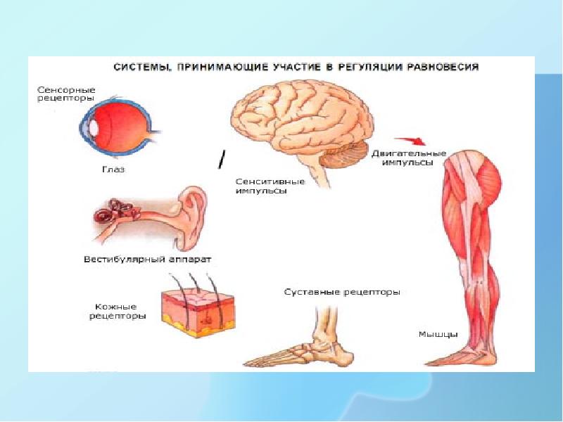 Лицевые боли неврология презентация