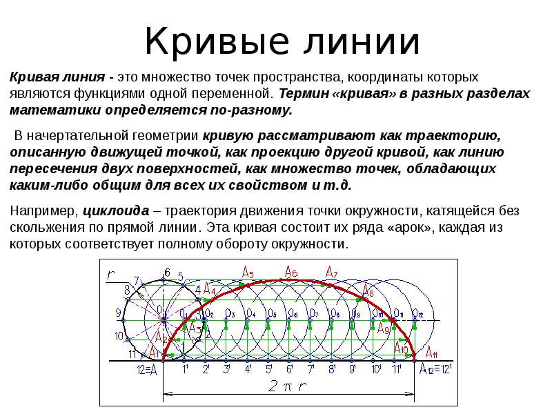 Циклоида проект по математике