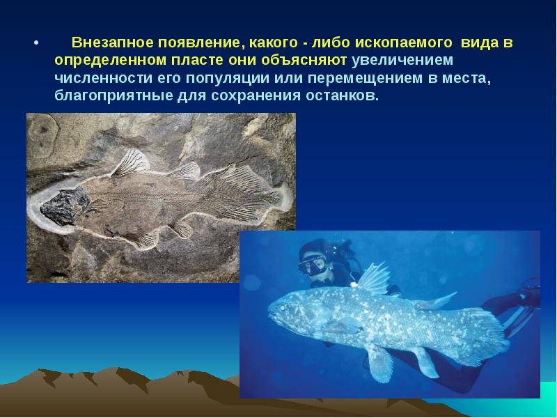 эволюция обезьяны и гоминида. появление какого. первая цифровая эвм. появление какого. ассоцианистическая теория.