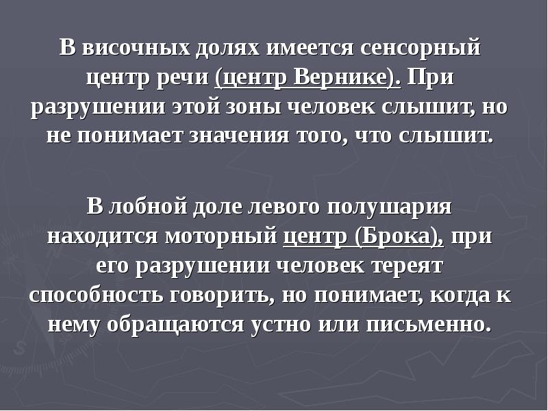 Типы внд презентация