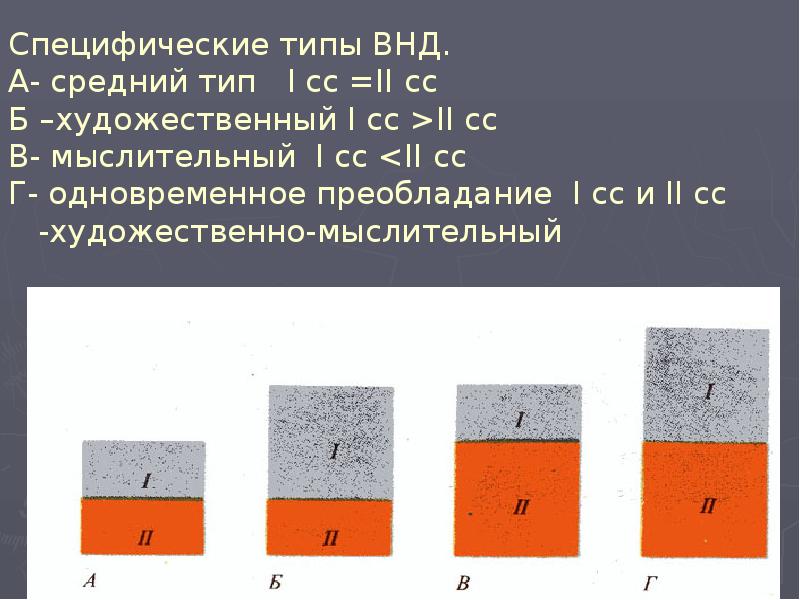 Типы внд презентация