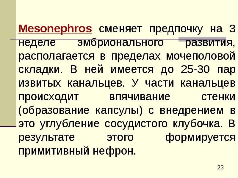 мезонефрос. пронефрос. первичные туловищные почки. меианефрос функционирует у. мальпигиево тельце.
