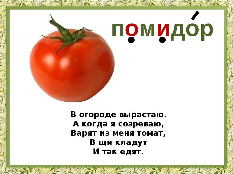 Слово про слово 2 класс. Загадка про помидор. Стихи про помидор для детей. Загадки для 2 класса. Загадка про помидор для детей.