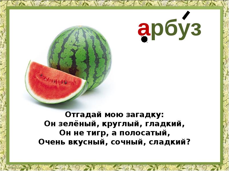 Проект про арбуз