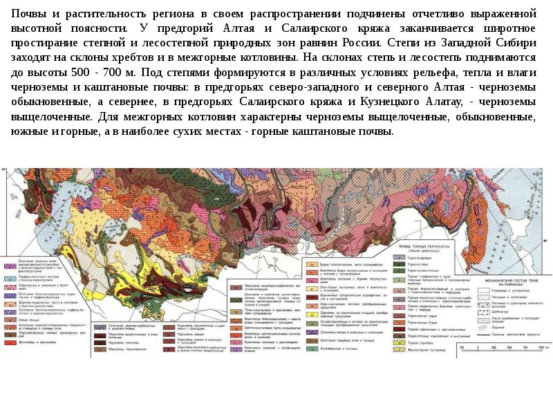 Почвенная карта алтайского края