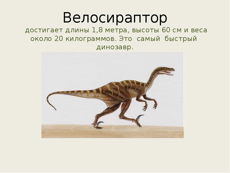 Проект на тему динозавры 3 класс