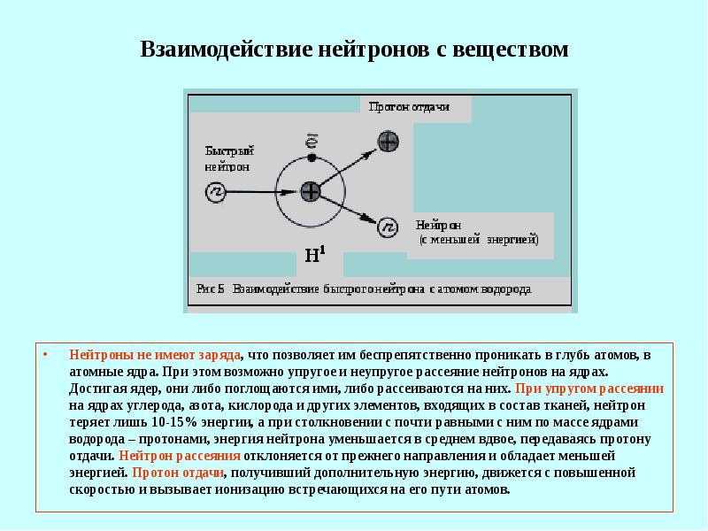 Ядро атома имеет заряд