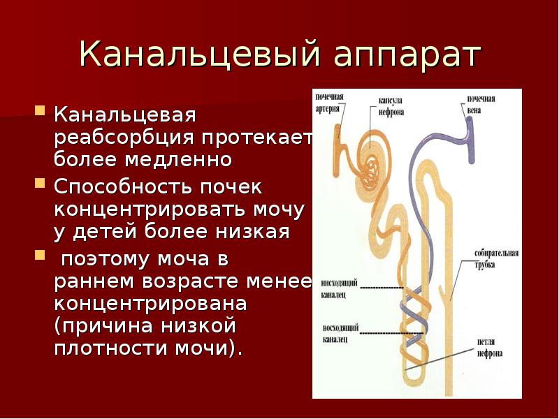 Нарушение реабсорбции почек