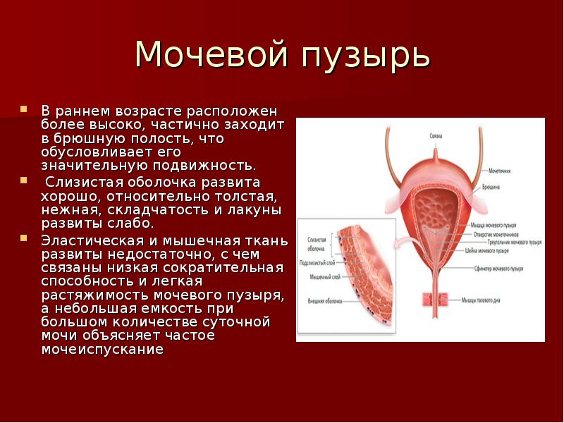 Располагали на более