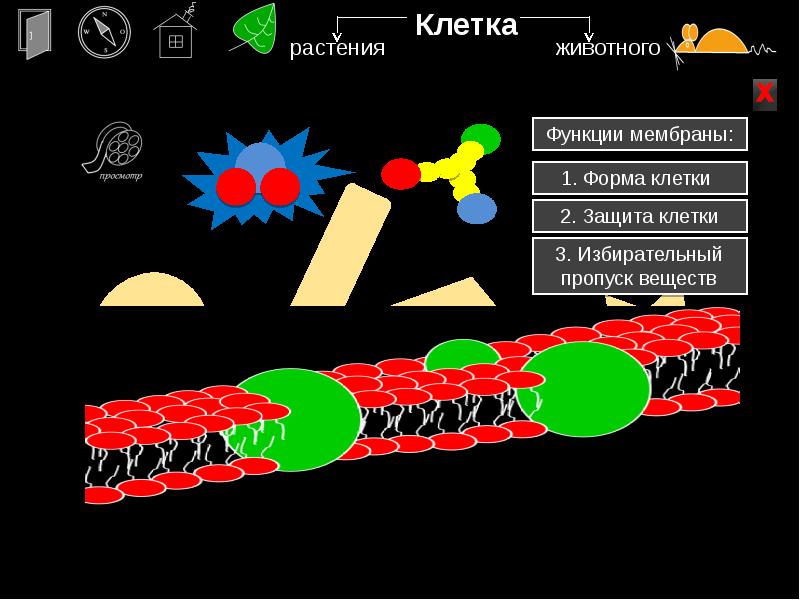 Защита клетки