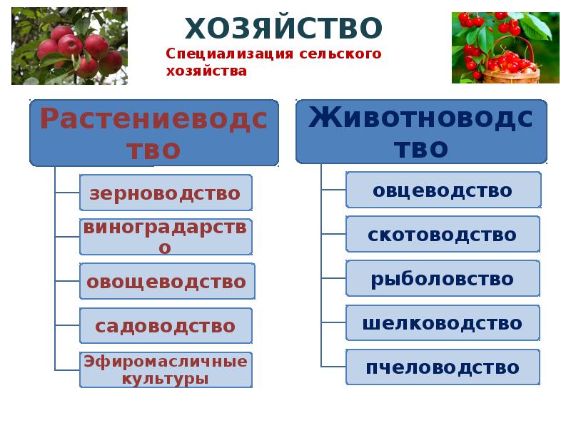 Экономика республики крым презентация