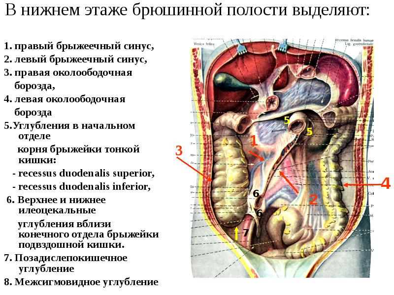  Foto 33