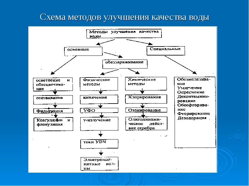 Алгоритм санитарно микробиологического исследования почвы схема