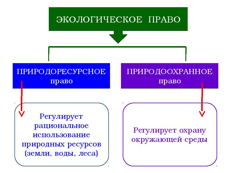 Проект по обществознанию экологическое право