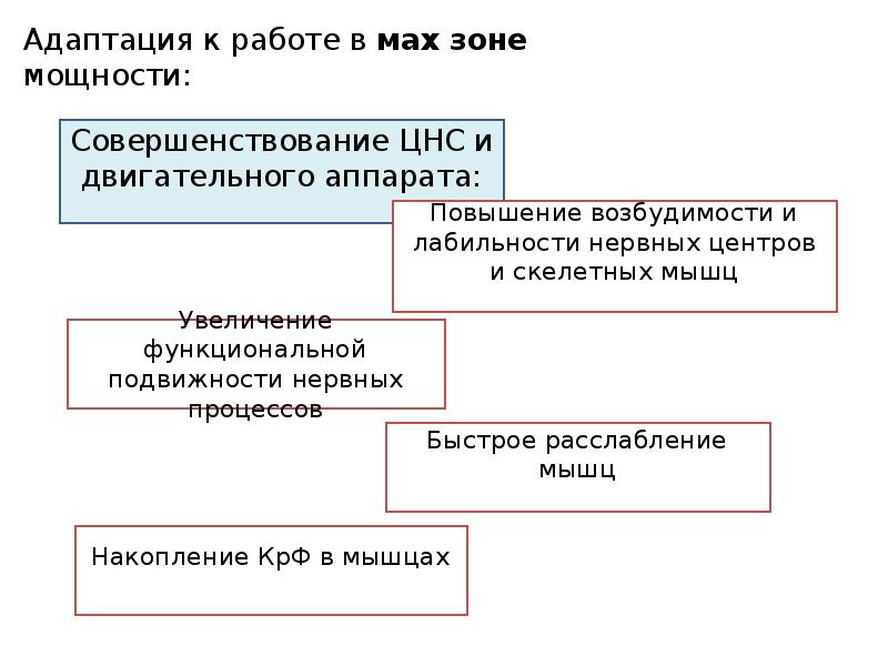 Адаптация презентация физиология