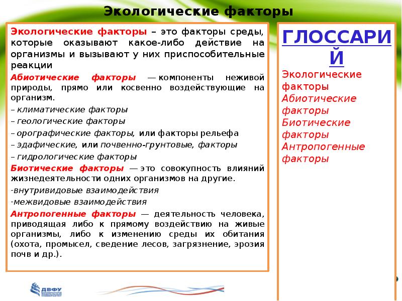 Реферат: Абиотические процессы и животные республики Татарстан