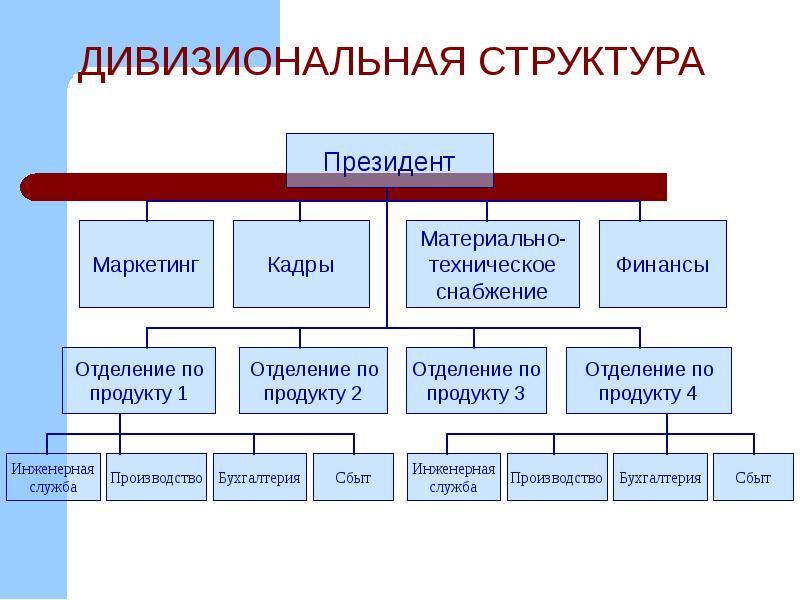 Дивизиональная структура управления проектом ориентирована на