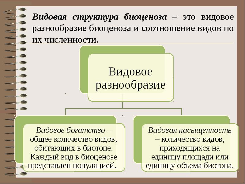 Видовая структура биогеоценоза