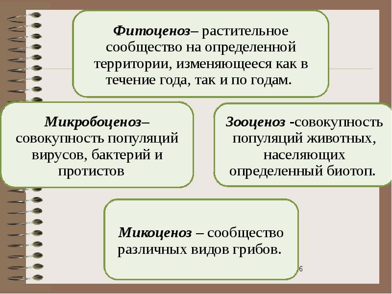 Многообразие фитоценозов 7 класс презентация