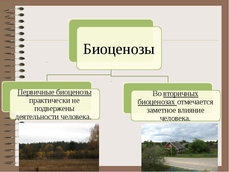 Презентация по биологии 7 класс экосистемы