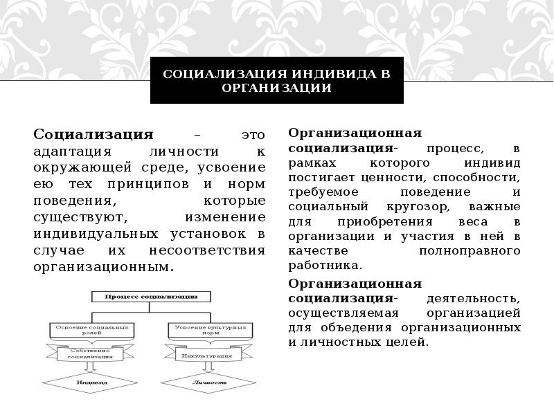 Процесс социализации индивида. Организационная социализация.