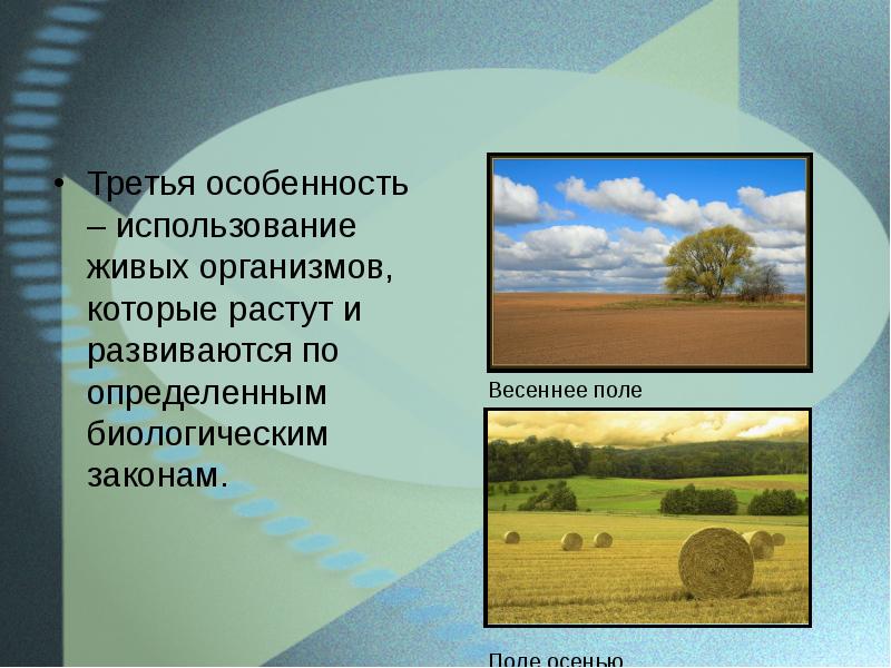 Третье поле. Особенность поля поля особенность поля. Третья особенность.