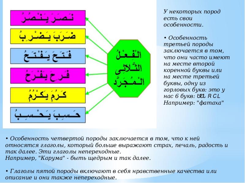 Презентация по арабскому языку