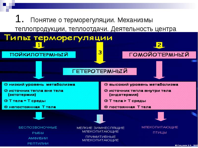 Процессы теплопродукции