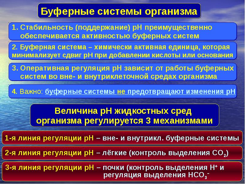 Буферные системы в организме человека проект