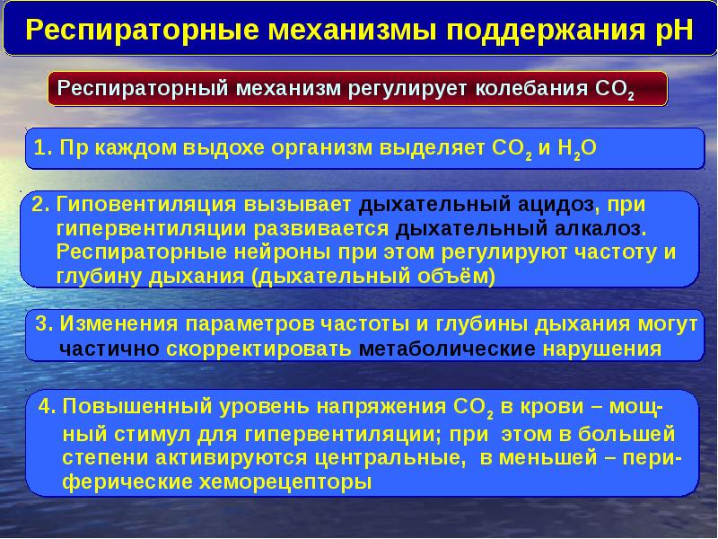 Дыхательный алкалоз при гипервентиляции. Респираторный механизм.