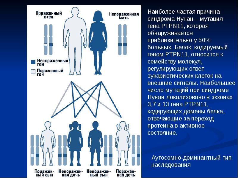 Папа гена мама. Синдром Нунан Тип наследования. Аутосомно-доминантный Тип наследования. Наиболее частая причина мутации генной.