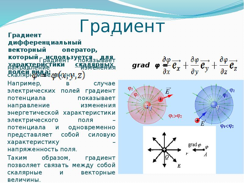 Виды векторного поля