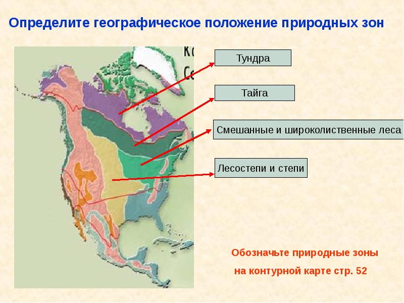 Особенности географического положения государственного устройства и природы сша 7 класс презентация