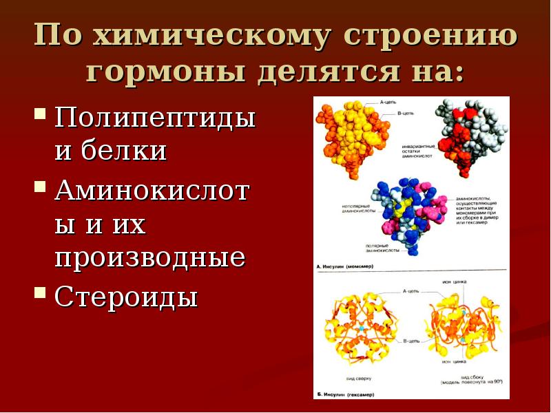 Функция белка гормона. Химическое строение гормонов белковых. Гормоны презентация. Белково-пептидные гормоны строение. Химическая природа гормонов.