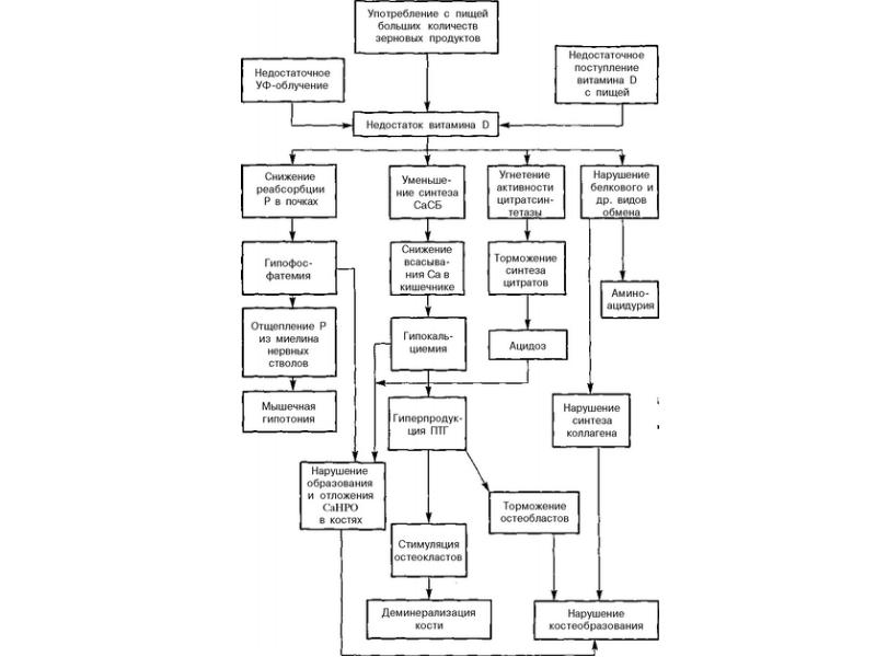 Механизм развития рахита схема