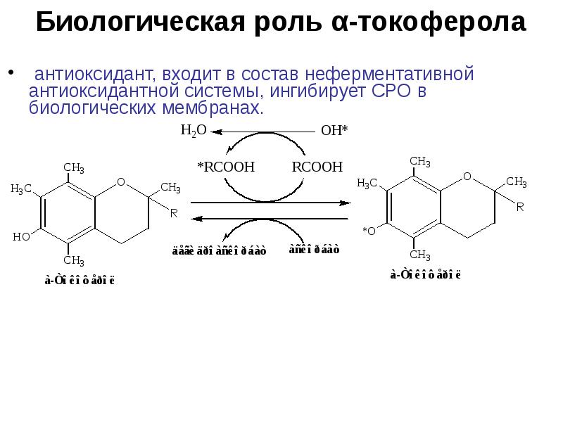 Витамин е биохимия презентация