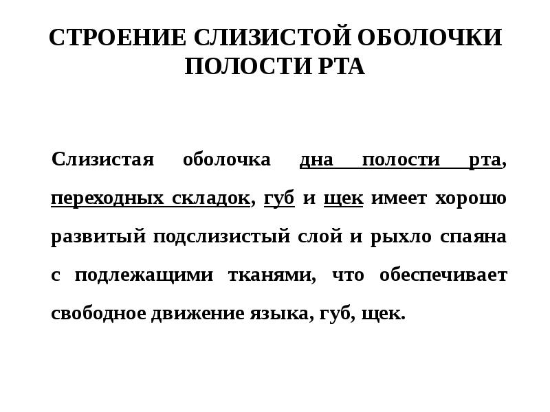 Особенности строения слизистой оболочки полости рта