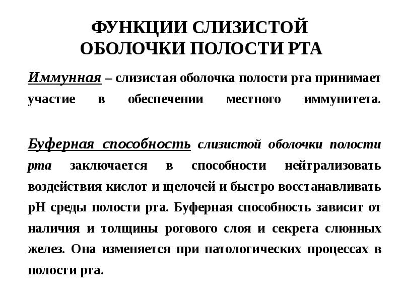 Особенности строения слизистой оболочки полости рта