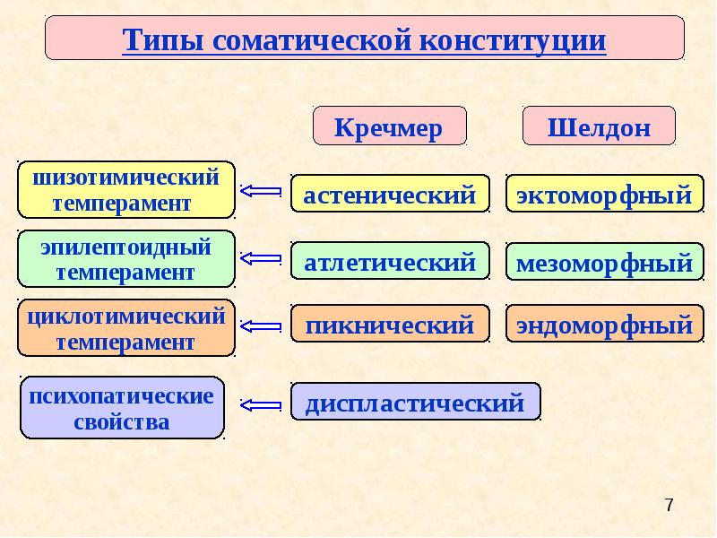 4 конституционный типа. Типы соматической Конституции. Типы соматической Конституции человека. Шизотимический темперамент. Соматический Тип личности.