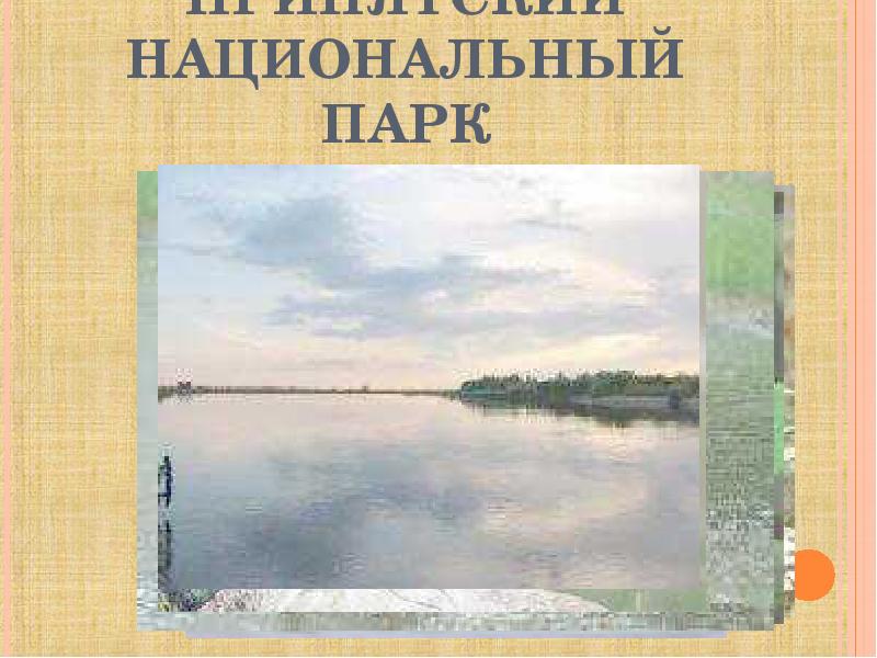 Презентация на тему заповедники беларуси