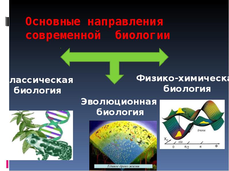 Достижения современной биологии презентация