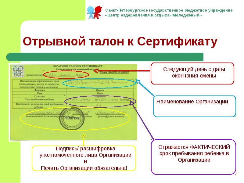 Директор спб гбу центр оздоровления и отдыха молодежный заявление образец