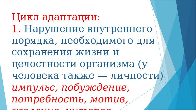 Что входит введение презентации