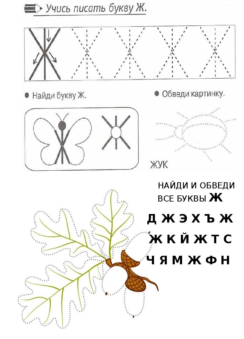 Звук и буква ж презентация