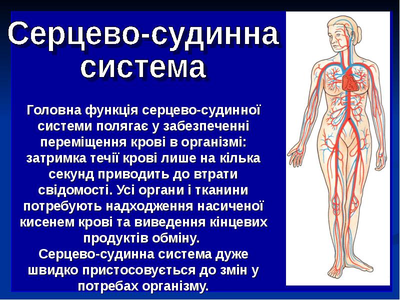 Реферат: Неревматические миокардиты