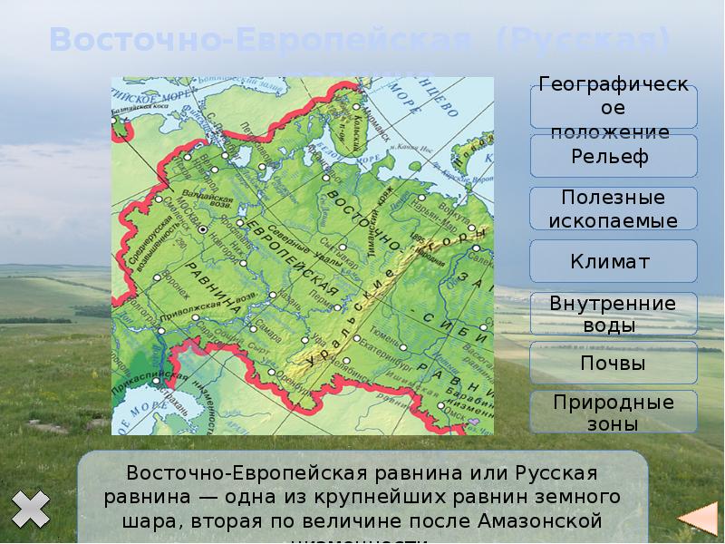 В какой части находится восточно европейская. Рельеф Восточно-европейской равнины карта. Восточно-европейская равнина на карте России. Восточно-европейская равнина физическая карта рельефа. Восточно-европейская низменность на карте России.