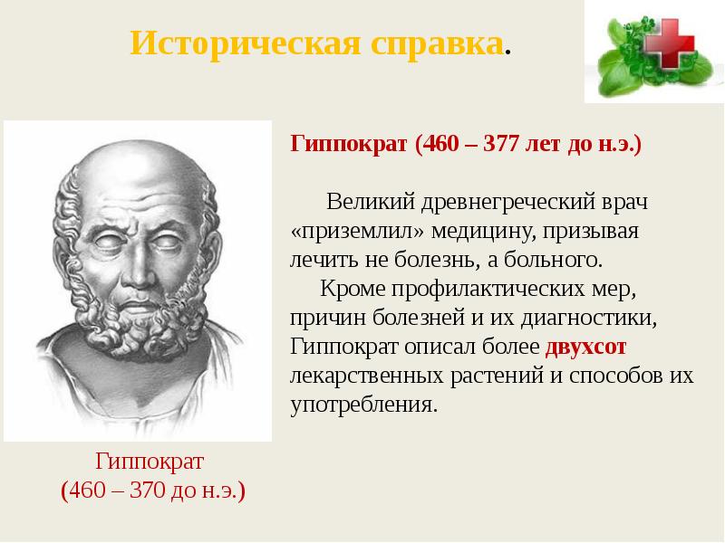 Гиппократ 2 великий косский. Растение гиппократа. Растение гиппократа. Венский диоскорид книга. Трактат греческого врача венский диоскорид.