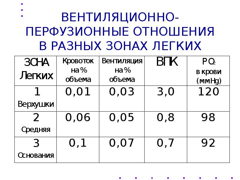 Физиология дыхания презентация