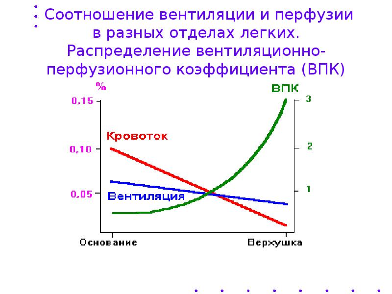 Вентиляция и перфузия легких. Вентиляционно-перфузионный коэффициент. Диаграмму перфузионно-вентиляционного соотношения. Коэффициент вентиляции легких. Вентиляционно-перфузионное отношение в разных отделах легких..