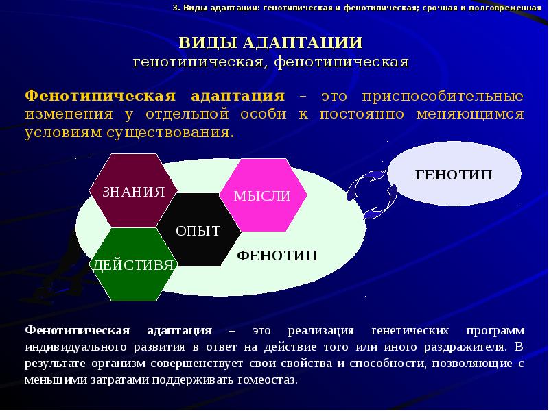 Адаптация к физическим нагрузкам презентация